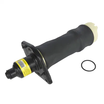 Hochwertige Audi A6 C5 Auto Teile Hinterrad Luftfederung Frühling 4z7513032A 4z7616052A Made in China