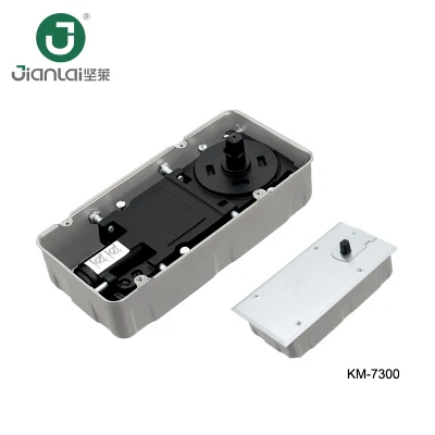 Innenliegende rahmenlose Tür Hardware Bodenfeder für Glastür