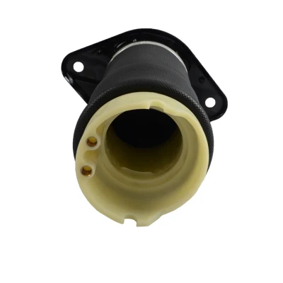 Hochwertige Audi A6 C5 Auto Teile Hinterrad Luftfederung Frühling 4z7513032A 4z7616052A Made in China