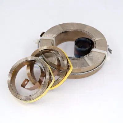 Qianye OEM Fabrik Edelstahl Feder Power Spring