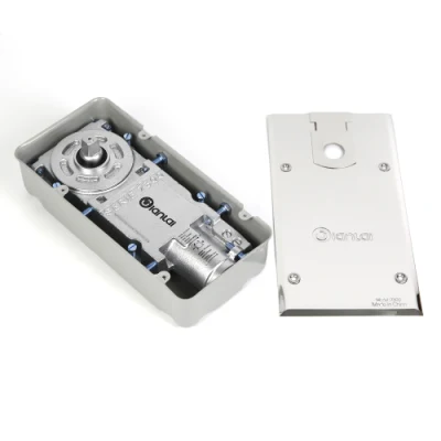 China 150kg Kapazität Hersteller Edelstahl 304 Einzelzylinder hydraulisch Bodenfeder für Glastür