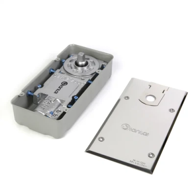 China 150kg Kapazität Hersteller Edelstahl 304 Einzelzylinder hydraulisch Bodenfeder für Glastür