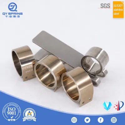 OEM Custom Edelstahl 301 flache Spiralmotor Bürstenfedern