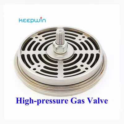 Methan Gas Compressor Natural Compressor Metallplatten Ventile Federdruck Reduzieren Des Ventils