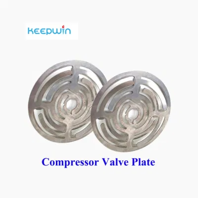 Methan Gas Compressor Natural Compressor Metallplatten Ventile Federdruck Reduzieren Des Ventils