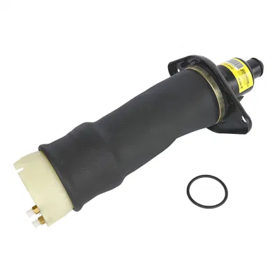 Hochwertige Audi A6 C5 Auto Teile Hinterrad Luftfederung Frühling 4z7513032A 4z7616052A Made in China