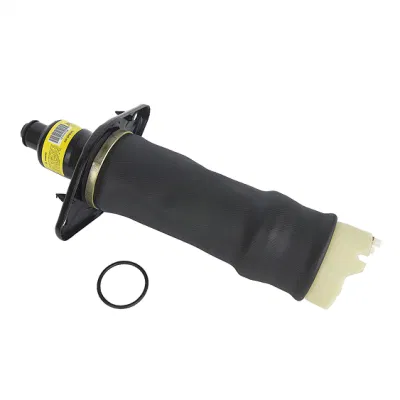 Hochwertige Audi A6 C5 Auto Teile Hinterrad Luftfederung Frühling 4z7513032A 4z7616052A Made in China