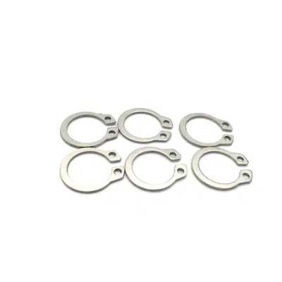 Sicherungsring und Sicherungsring (DIN471/DIN472/DIN6799)