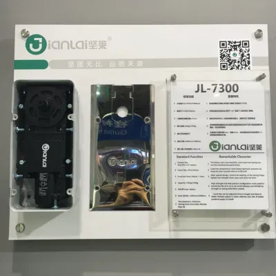 Innenliegende rahmenlose Tür Hardware Bodenfeder für Glastür