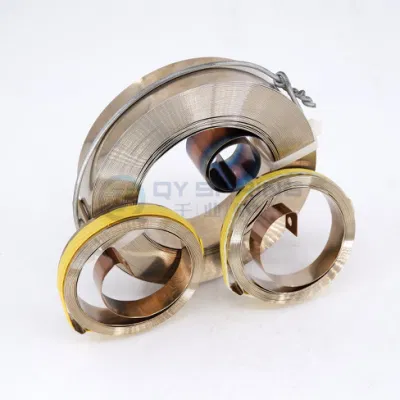 Qianye OEM Fabrik Edelstahl Feder Power Spring