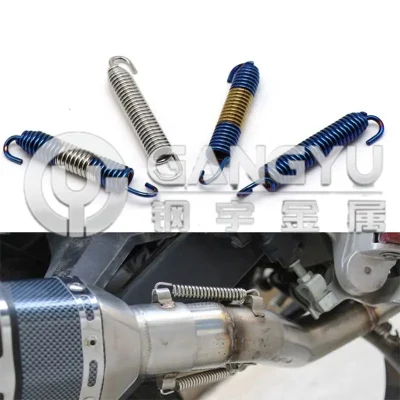 Kundenspezifische Autozubehör Gaspumpe Spannung Feder