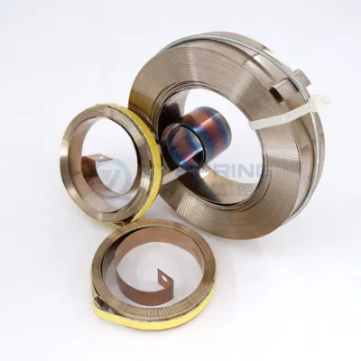 Qianye OEM Fabrik Edelstahl Feder Power Spring