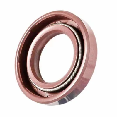 Strumpfhalter Feder Schließen mit regelmäßigen Haken zusammengebaut Spannung Feder Maschine für CNC-camless Spring Formmaschine