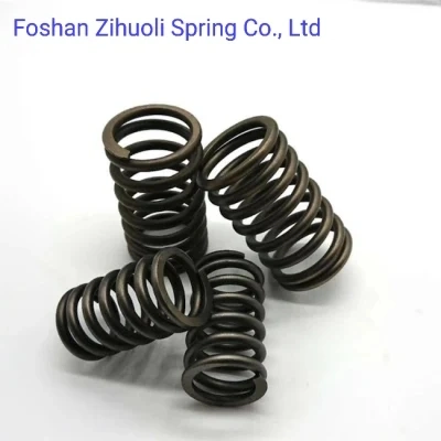 Fabrik Customized Elektrophorese Prozess Carbon Compression Metal Spring