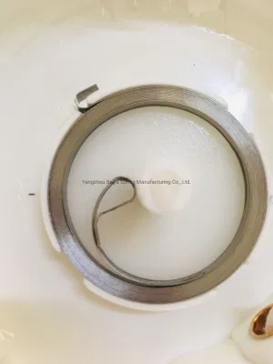 Edelstahl Blatt Frühling für Knoblauch Pfeffer Ingwer Food Chopper