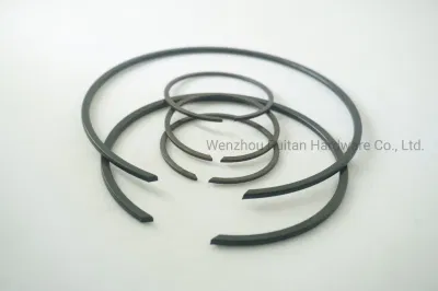 China Factory Snap Ring-Clips zum Verkauf