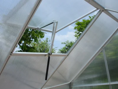 Temperaturgesteuertes Öl im Inneren Gasfeder für Gewächshaus heißen Verkauf