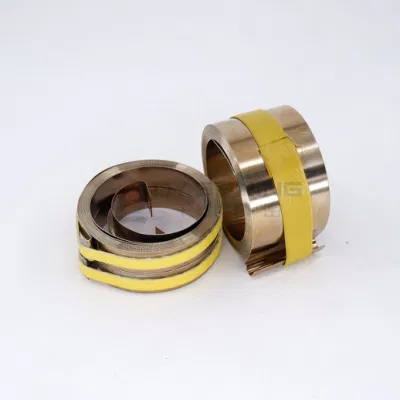 Qianye Qualität gesichert OEM Hersteller flache Power Spring