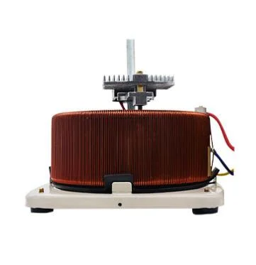 Einphasiger Kontaktspannungsregler der Serie DELIXI Tdgc 220V