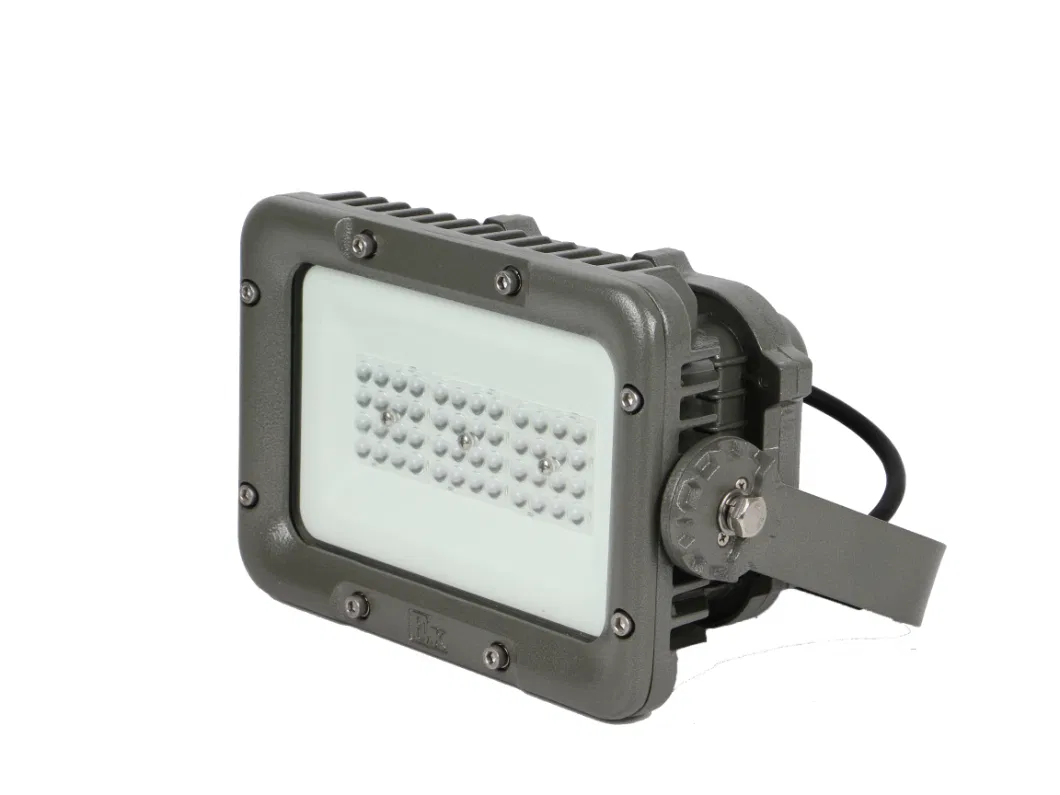 Eco-Friendly IP66 AC220V Anti Explosion Flood Light Hanging Anti-Explosive LED Lamp