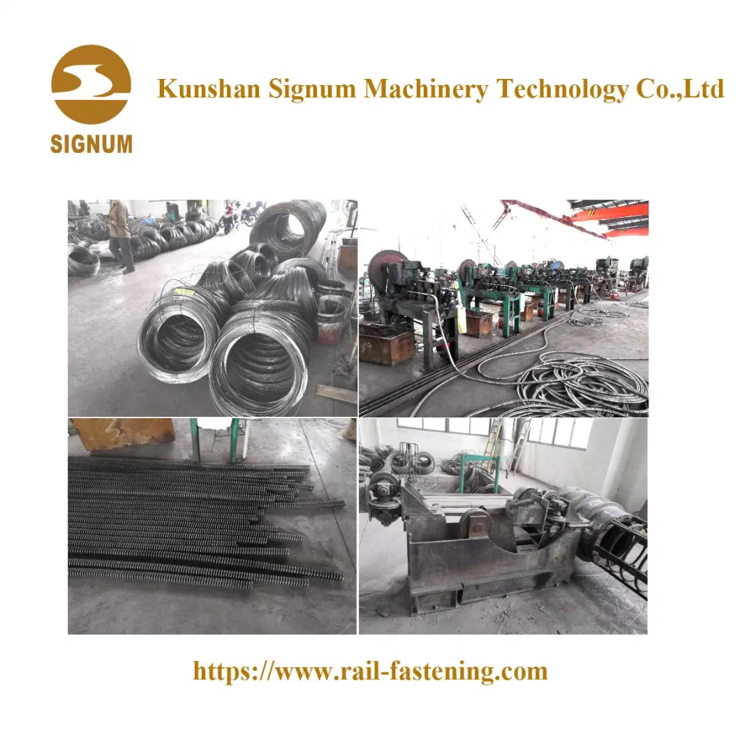 Double Coil Spring for Railroad Fasteners