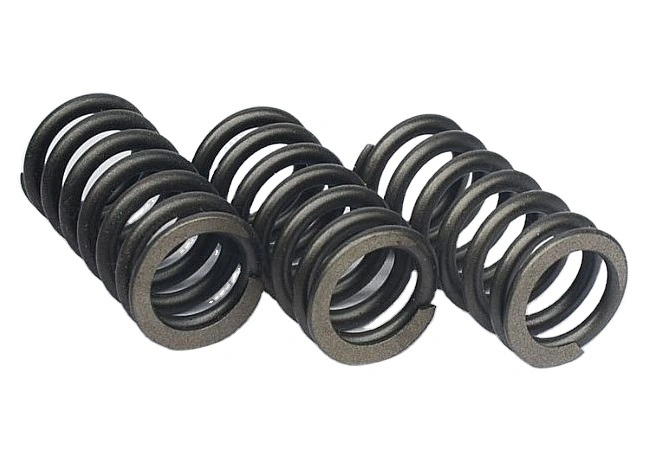 OE Factory Steel Valve Spring for Car Bus Truck Tractors Engine