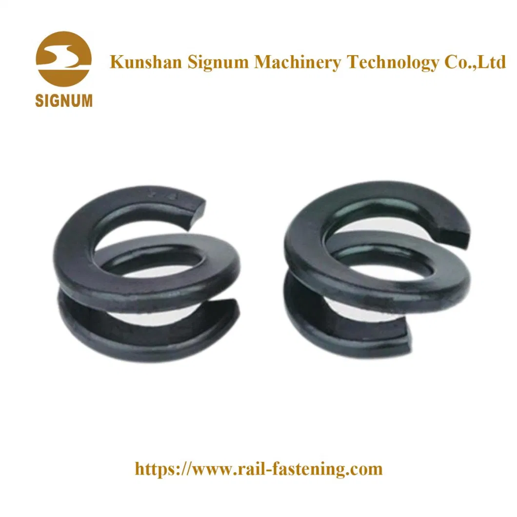 Double Coil Spring for Railroad Fasteners