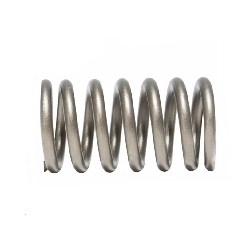 Shangchai Engine Parts Valve Outer &amp; Inner Spring