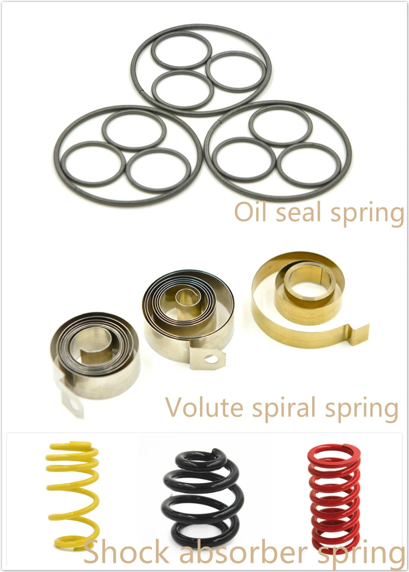 Stainless Steel Large Suspension Spring for Different Cars