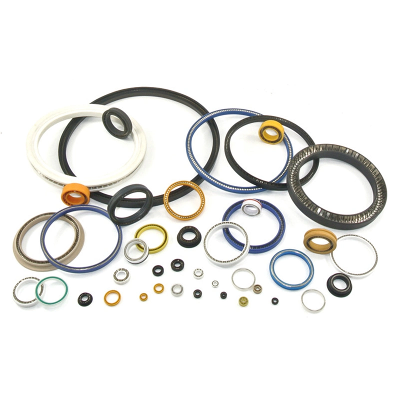 Spring Energized Seal PTFE Material Spring Seal Rubber Seal for Pan Plug Seal Rotary Shaft Seal