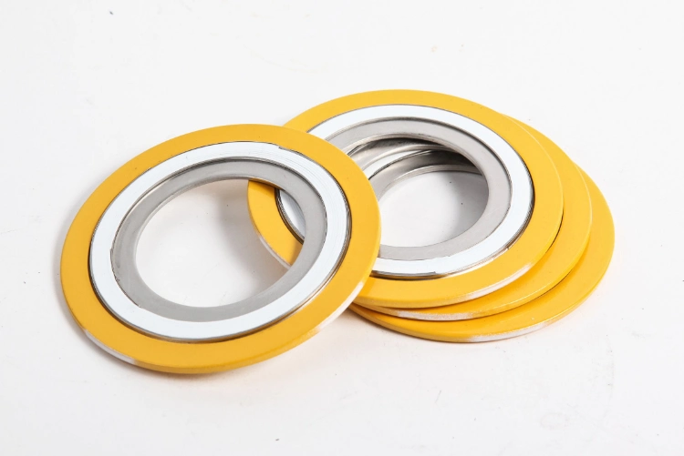 Epoxy Coated RS1 Flange Gasket with Spiral Wound Design