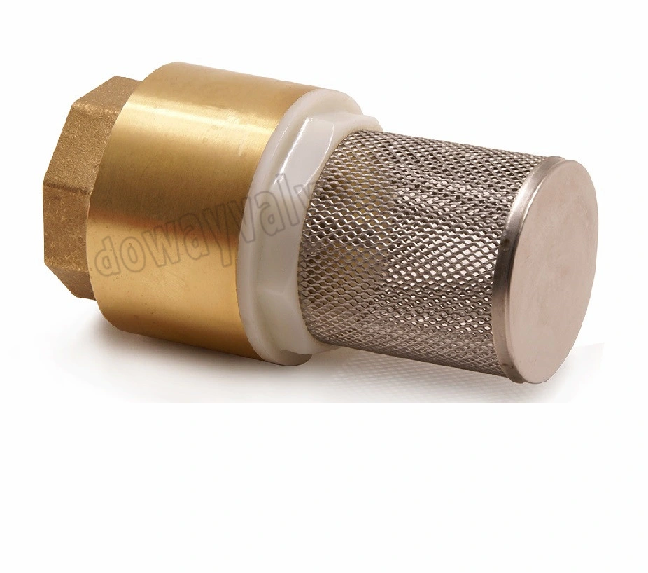 OEM/ODM Factory Forged Brass Non Return Spring Check Valve with Strainer