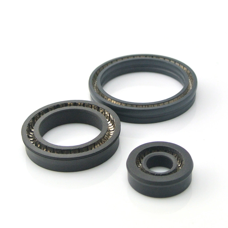 Factory Wholesale Qualified Manufacturer PTFE Material Rotary Seal Spring Energized Seal