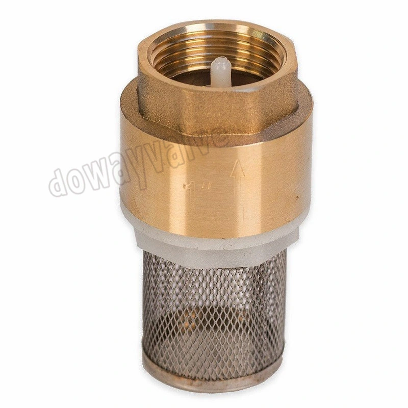 OEM/ODM Factory Forged Brass Non Return Spring Check Valve with Strainer