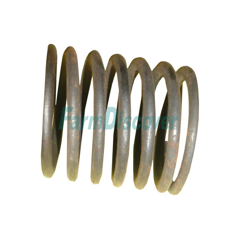 High Temperature Resistant Diesel Engine Valve Springs Manufacturers