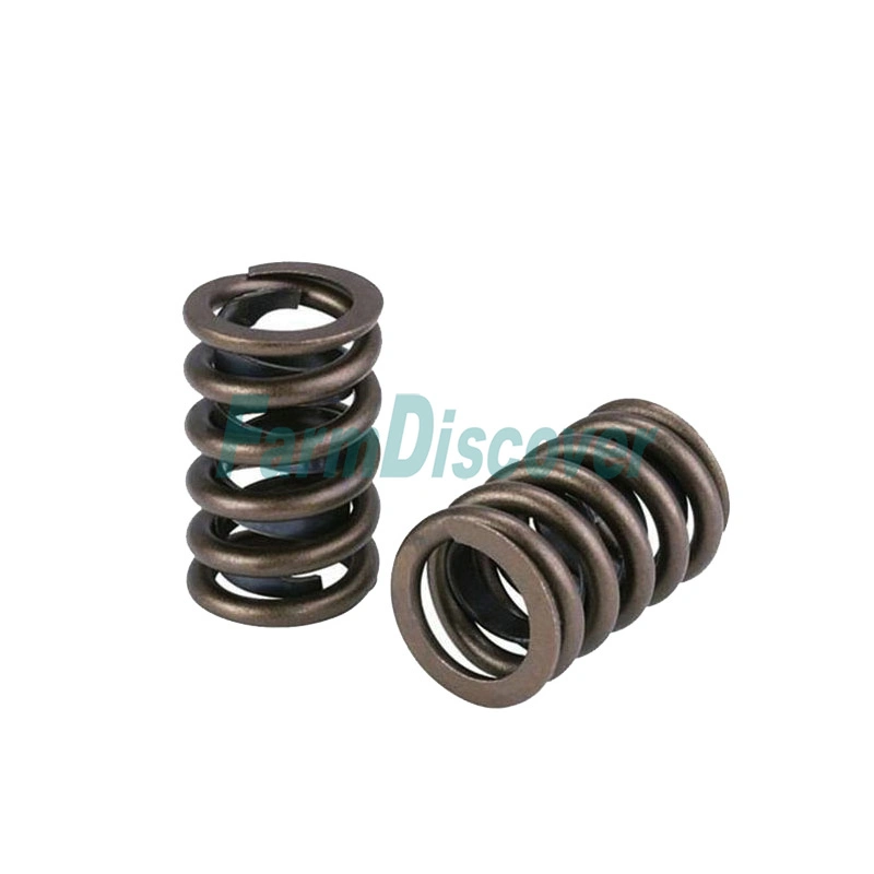 High Temperature Resistant Diesel Engine Valve Springs Manufacturers