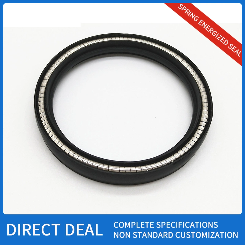 PTFE/UHMWPE/Peek Spring Energized Hydraulic Oil Seal Ring Spring Seal