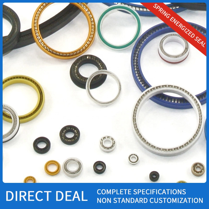 Factory Wholesale Qualified Manufacturer PTFE Material Rotary Seal Spring Energized Seal