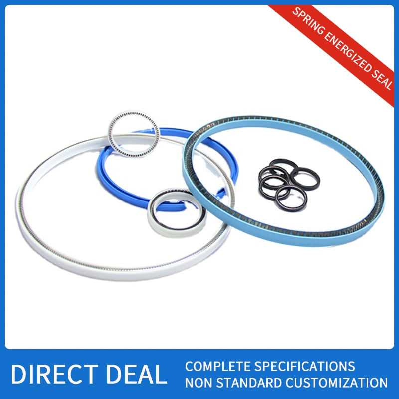 Spring Energized Seal / Variable Seal Spring Seal Sealing Ring Oil Seal