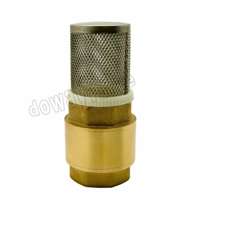 Forged Brass Non Return Spring Check Valve Inline Plasted in Polymer