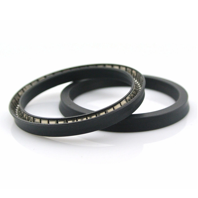 Water Valve Spring Loaded Spring Energized Seal Spring Seal Rubber O Ring Seal