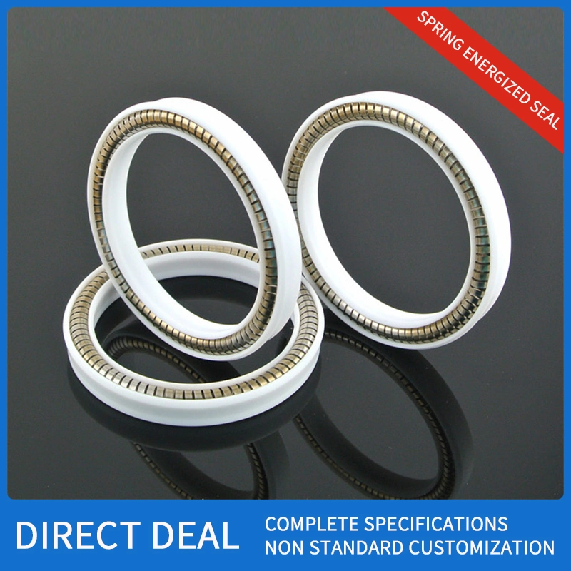 Water Valve Spring Loaded Spring Energized Seal Spring Seal Rubber O Ring Seal