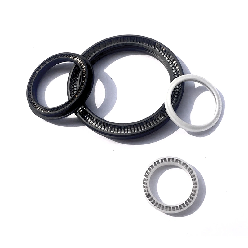 PTFE Spring Energized Seal Spring Seal Seal Ring Oil Seal