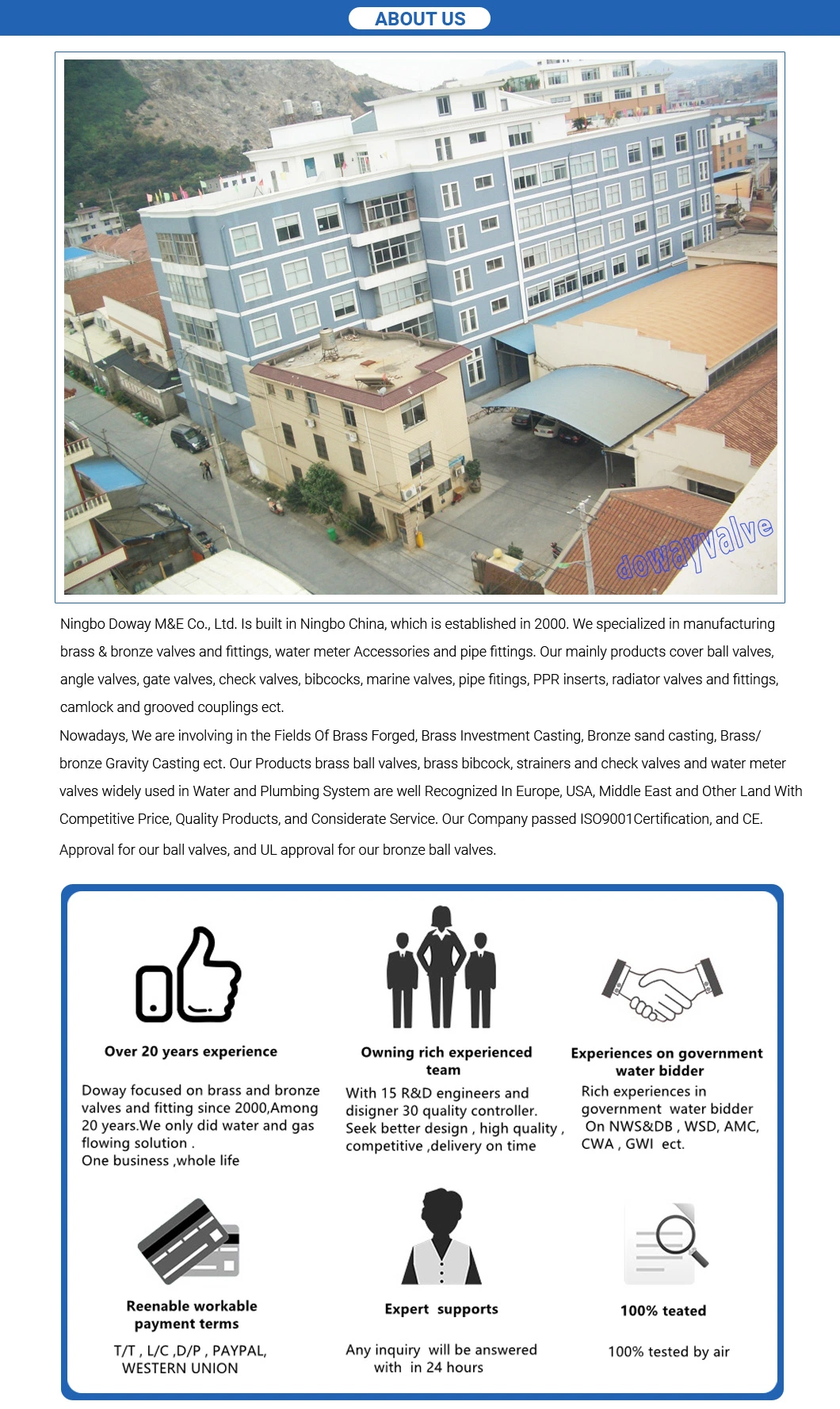 Brass Check Valve Easy Installation with Good Tightness for Chemical Companies