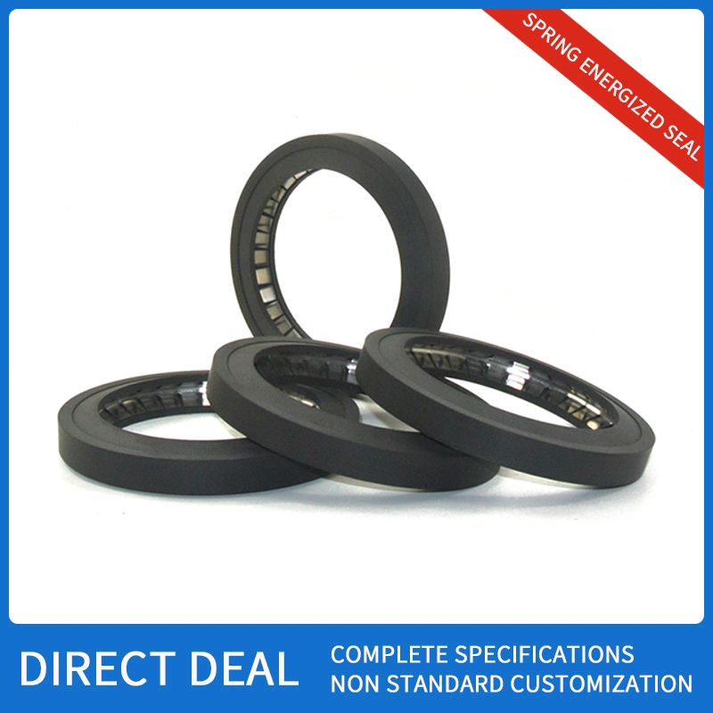 Spring Energized Seal PTFE Material Spring Seal Rubber Seal for Pan Plug Seal Rotary Shaft Seal