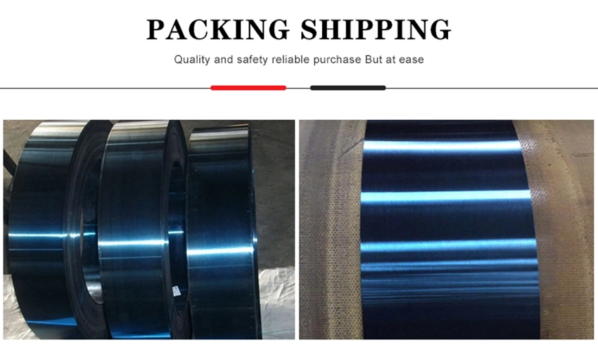 Spring Steel Manufacturing Flat Spring Steel Strip Stainless Steel Gas Spring Stainless Steel Spring Clip for Pipe Mounting
