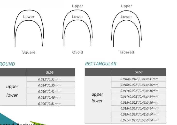 Dental Orthodontic Product 180mm 0.010 Fixed Constant Force Niti Coil Open Spring