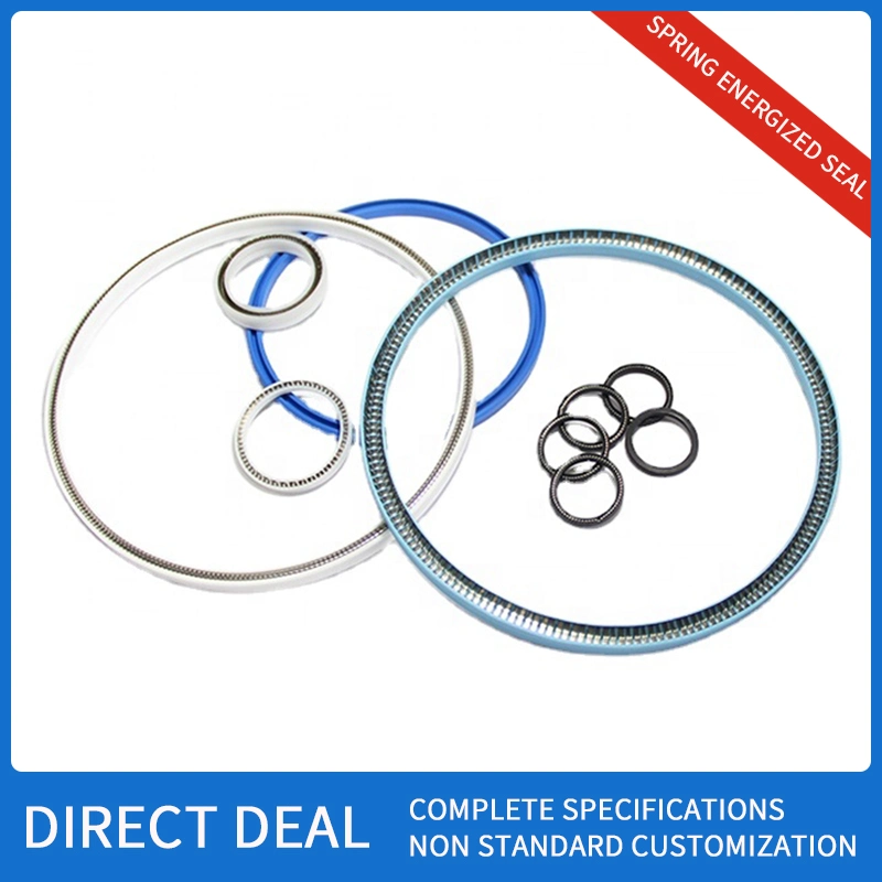 Spring Energized Seal / Variable Seal Spring Seal Sealing Ring Oil Seal