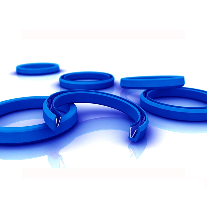 PTFE Spring Energized Seal Spring Seal Seal Ring Oil Seal