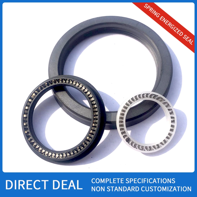 PTFE Spring Energized Seal Spring Seal Seal Ring Oil Seal